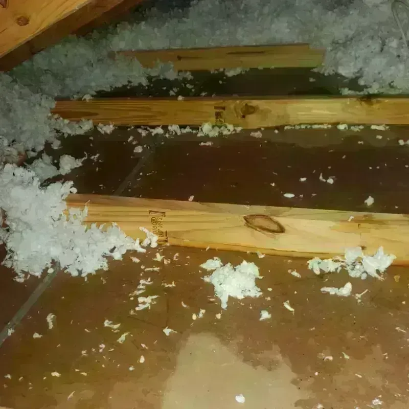 Attic Water Damage in Oak Grove, LA